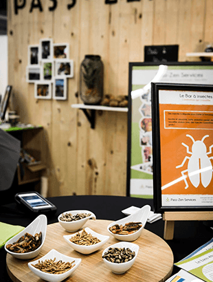 Pass-Zen Services - Animations gustatives bar à insectes en entreprise