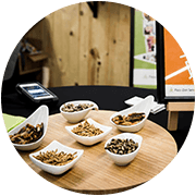Pass-Zen Services - Bar à insectes en entreprise